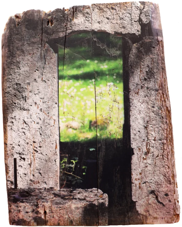 lapuertadelaprimavera